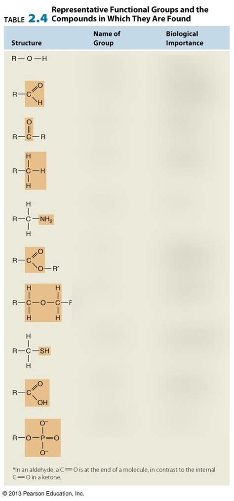 Exam 2 Diagram | Quizlet