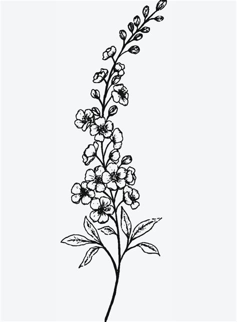 delphinium tattoo | Delphinium tattoo, Larkspur flower tattoos, Larkspur tattoo