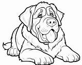Old Yeller Coloring Pages sketch template