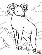 35 Goats Coloring Pages  Unleash Your Childs Creativity sketch template