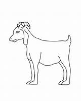 Printable Goat Coloring Page Sketch sketch template