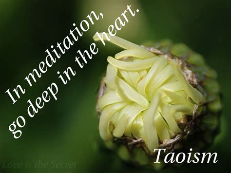 Tao Quotes On Balance. QuotesGram