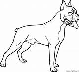 Boxer Dog Coloring Pages 12 Free Printables  ColoringAll sketch template