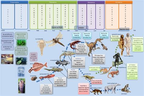 Geologic Time Scale, Dinosaur Museum, Geology, Hillarious, Timeline, Montessori, Science ...