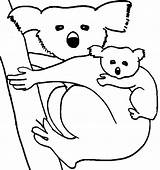 Koala coloring Page  Animals Town color Sheet free sketch template