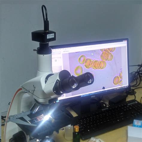 Digital Microscope with camera can take photo, connect with computer or ...