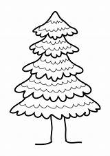 White Pine Tree Coloring Pages sketch template