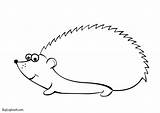 Hedgehog Coloring Pages  Learny Kids sketch template