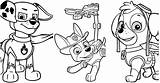 17 Free Paw Patrol Coloring Pages For Kids And Adults  Blitsy sketch template