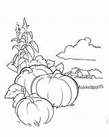 Pumpkin Patch Coloring Pages  Free Printable For Kids sketch template