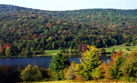 Allegany State Park - Quaker Area on Campers Helper