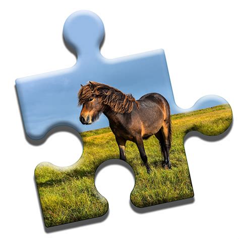 Pony Love Puzzle - Apps on Google Play