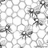 Honeycomb Coloring Pages  Free & Printable sketch template