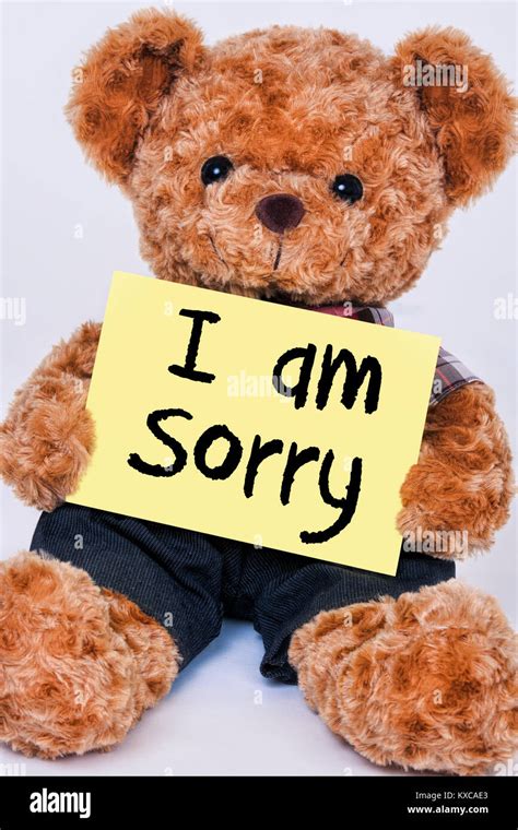 Cute teddy bear holding a yellow sign that reads I am Sorry isolated on a white background Stock ...