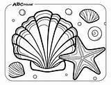 Dive Into Creativity With Sea Shell Coloring Pages sketch template