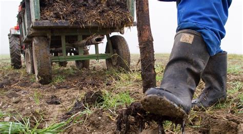 PA Environment Digest Blog: York Conservation District Hosts March 2 Writing Your Own Manure ...