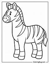 28 Zebra Coloring Pages Free Printable PDFs sketch template
