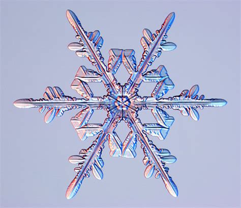 Snowflake Images