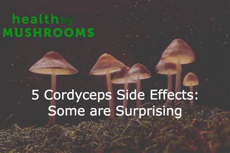 5 Cordyceps Side Effects: Some are Surprising - Health By Mushrooms