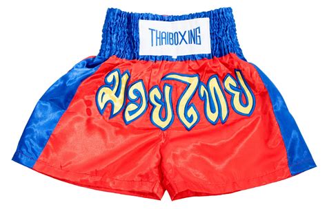 Muay Thai Boxing Shorts Kick Boxing Trunks Satin Size M-3XL