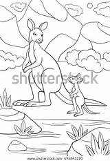Coloring Pages Mother Kangaroo Her Little Stock Vector Royalty Free  sketch template