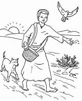 Sower Seed Parable Coloring Page For Kids Sketch sketch template