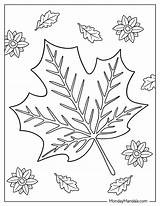 Autumn Leaves Coloring Pages sketch template
