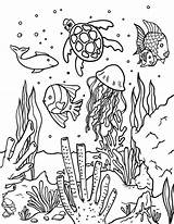 Free Printable Ocean coloring Page Download It From Https  sketch template