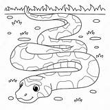 Corn Snake Coloring Sheets Pages sketch template