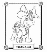 Paw Patrol Everest Coloring Page At GetColoringscom  Free Printable sketch template