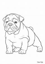 English Bulldog Coloring Pages Free Printable PDFs  WakeTheKids sketch template