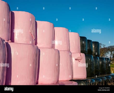 Plastic and farming hi-res stock photography and images - Alamy