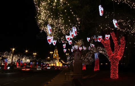 Bahrain National Day Celebration | Christmas tree sale, Christmas tree, Christmas