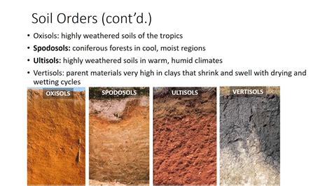 Soil Classification and Survey - YouTube