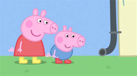 Incy Wincy Spider | Peppa Pig Wiki | Fandom