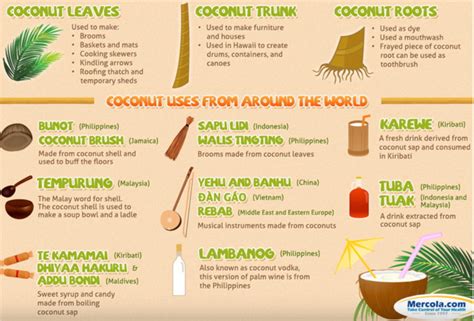 FIRE RESISTANT COCONUT HUSKS CAN REPLACE WOOD & SAVE MILLIONS OF TREES — thecoconet.tv - The ...