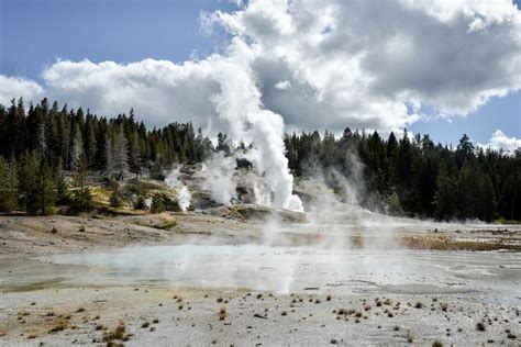 Yellowstone : Mammoth Hot Springs & Norris Geyser Basin