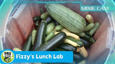 FIZZY'S LUNCH LAB | Mixie Reports: Vegetables | PBS KIDS | WPBS ...