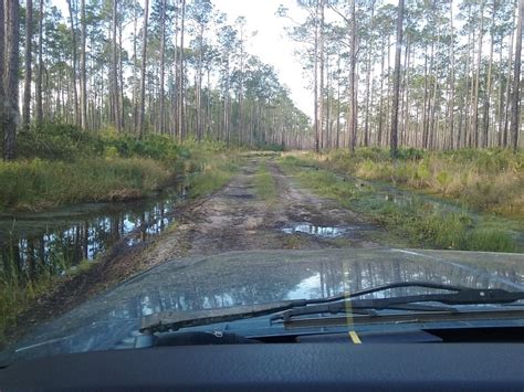 Recent visit to Osceola National Forest - Jeep Cherokee Forum