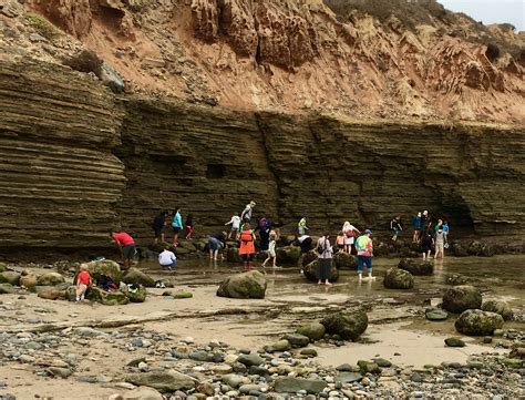 The Rocky Intertidal Zone - Cabrillo National Monument (U.S. National ...