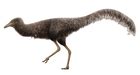 Alxasaurus - Wikipedia