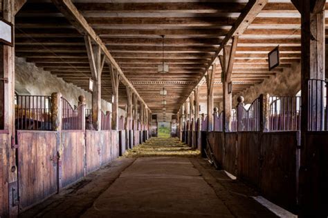 Horse Stable Interior Stock Photos, Pictures & Royalty-Free Images - iStock