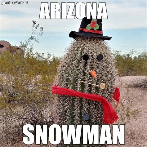 Arizona snowman | Christmas humor, Winter humor, Snowman