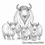 Musk Ox Coloring Pages  Free & Printable sketch template