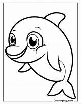 50 Dolphin Coloring Pages Free Printable PDFs sketch template