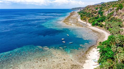 Scuba diving in Dili and Atauro Island | ZuBlu