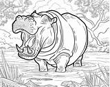 Cute Hippo Coloring Pages sketch template