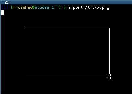 How to do a print screen or capture an area of the screen