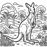 Kangaroo coloring Page Lulu Pages sketch template