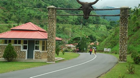 ‘Reviving Obudu Cattle Ranch Can Sustain Beef, Dairy Production in C ...